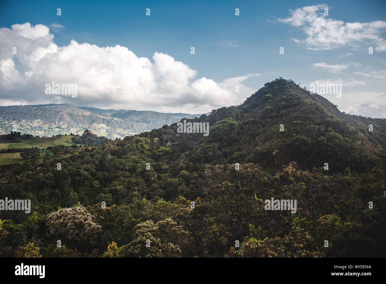 Üppig grüne Tal der Wanderung zum Lago Guatavita, See, dass die spanischen El Dorado Gold rush Legende in Guatavita, Kolumbien inspiriert Stockfoto