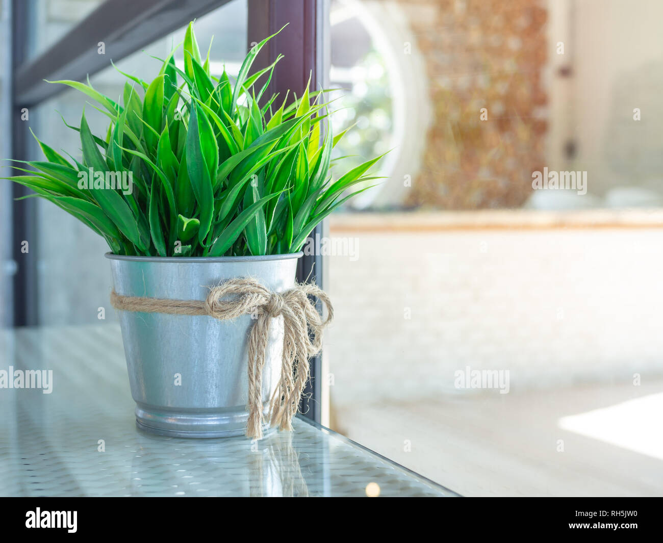 Grüne Pflanze in Zink Topf Dekoration auf glas Tisch im Restaurant mit kopieren. Stockfoto