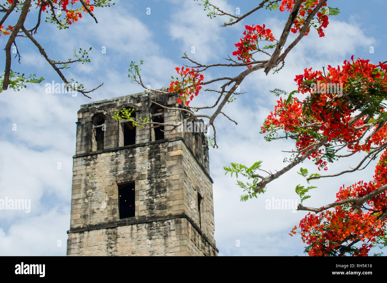 Panama Viejo Turm Stockfoto