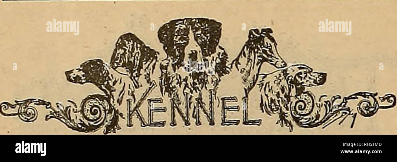 Zuchter Und Sportler Pferde 58 U Qv Amp Ebvv Anfr Fffptttztmaxu Juli 22 19 Kommende Veranstaltungen Sitzbank Uhows Juli 19 25 Western Canada Kennel Zeigen Winnipeg Man A Code S Y