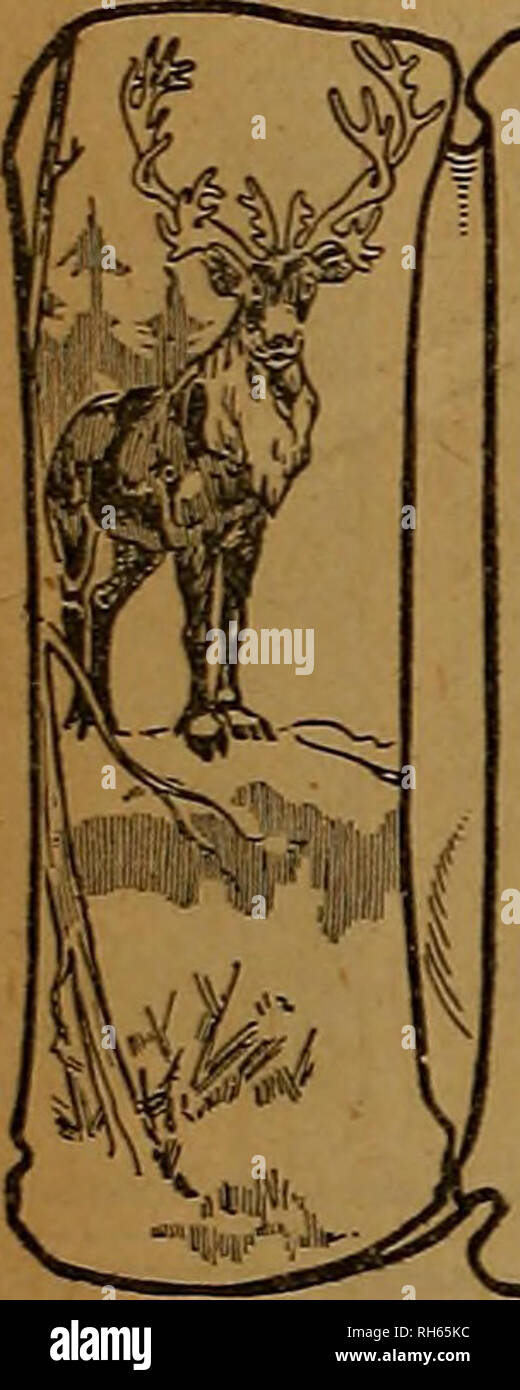 . Züchter und Sportler. Pferde. Östlichen HANDICAP ehrt die &Lt;P) Marke befördert durch Shooter mit vorläufigen Handicap - 1. Horace W. Lodge, 96 ex 100 aus 19 yards Eastern Special - 2. Fred Pflaume, 98 ex 100 östlichen Handicap - 2 W. H. Lanier, 96 ex 100 aus 18 Metern hohen allgemeinen Durchschnitt (Riegel) - Exed Pflaume, 343 ex 350 Special Double Event - 1. Fred Pflaume, 29 ex 15 Paaren längste Abfahrt der shoot - von Fred Pflaume - 140 gerade hohen allgemeinen Durchschnitt auf alle Ziele, darunter 200 aus 22 Yards, 100 von "18 Yards, 450 von 16 Yards und 15 Paare, von Fred Pflaume, 742 ex 780 CONNECTICUT INTERSTATE CHAMPI gewonnen Stockfoto