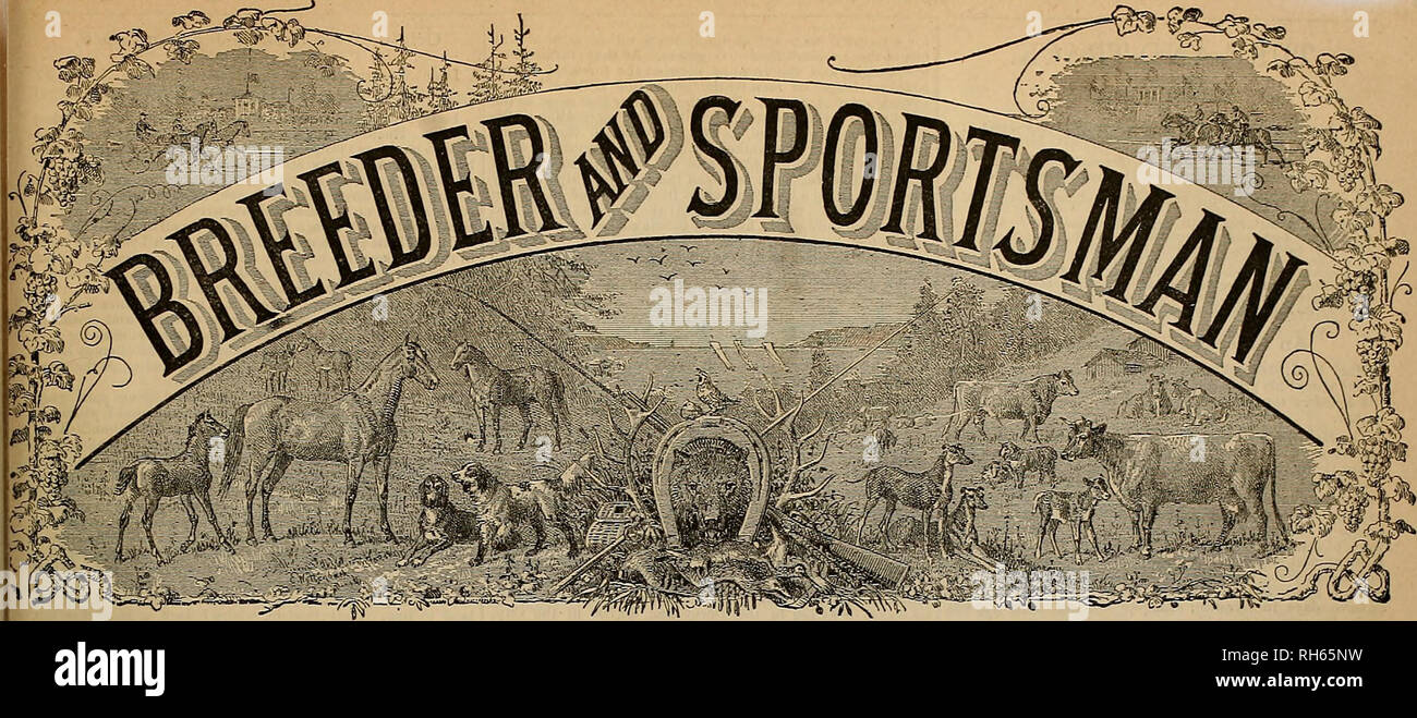 . Züchter und Sportler. Pferde. **/&Lt;&amp;'" $ sSS^ ife^5 S&amp; Vol. IV. Nr. 23. Nr. 50 b MONTGOMERY tiTKEET. SAN FRANCISCO, Samstag, 7. Juni 1884. Abonnement für fünf Dollar pro Jahr. Eine geteilte Derby. Zum zweiten Mal in einer Geschichte über ein Jahrhundert der Englische Derby, am 2 Sth ult laufen zu erweitern., führte zu einer "Dead Heat" - ein Ergebnis kaum zufriedenstellend, da das Geld wetten haben zusammen zu setzen und unterteilt werden, die für diejenigen, die Sir John Willoughby pair Har - teilweise von vester Erfolg wird wohl kaum ihre Verluste auf Königin Adelaide zahlen, während für diejenigen, die gesichert Stockfoto