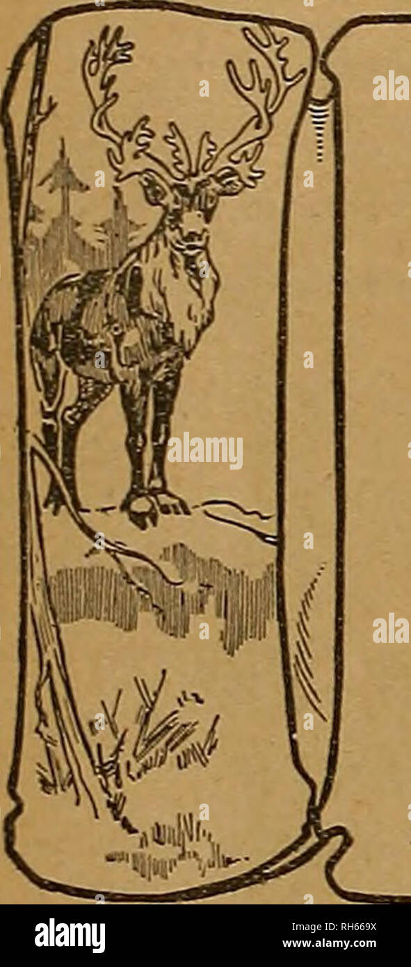 . Züchter und Sportler. Pferde. Östlichen HANDICAP EHRT DIE (P) Marke befördert durch Shooter mit vorläufigen Handicap - 1. Horace W. Lodge, 96 ex 100 aus 19 yards Eastern Special - 2. Fred Pflaume 98 ex 100 östlichen Handicap - 2 W. H. Lanier, 96 ex 100 aus 18 Metern hohen allgemeinen Durchschnitt (Riegel) - Fred Pflaume 343 ex 350 Special Double Event - 1. Fred Pflaume, 29 ex 15 Paare ich am längsten Durchlauf der shoot - von Fred Pflaume - 140 gerade hohen allgemeinen Durchschnitt auf alle Ziele, darunter 200 aus 22 Yards, 100 aus 18 Yards, 450 aus 16 Yards und 15 Paare, von Fred Pflaume, 742 ex 780 CONNECTICUT INTERSTATE CHAMPIONSH gewonnen Stockfoto