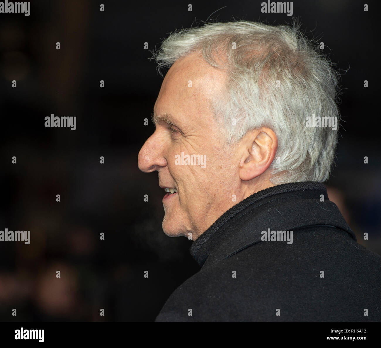James Cameron besucht die Weltpremiere von "Alita: Battle Angel' im Odeon Leicester Square. Stockfoto