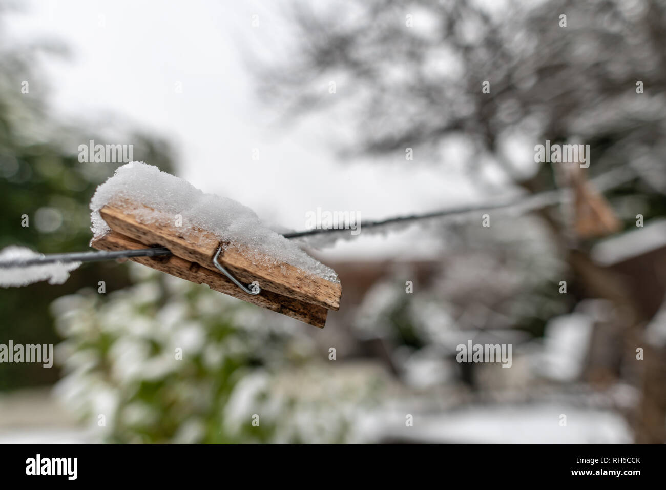 Poole, Großbritannien. 1. Februar 2019. Es gibt Schnee sogar in Poole in Dorset, an der Südküste von England. Schnee in Suburbia auf einer Wäscheleine Wäscheklammer Credit: Thomas Faull/Alamy leben Nachrichten Stockfoto