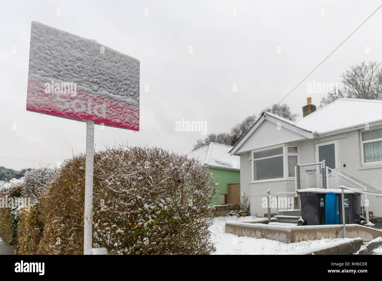 Poole, Großbritannien. 1. Februar 2019. Es gibt Schnee sogar in Poole in Dorset, an der Südküste von England. Schnee in einer Vorstadt und auf Bäumen. Quelle: Thomas Faull/Alamy leben Nachrichten Stockfoto