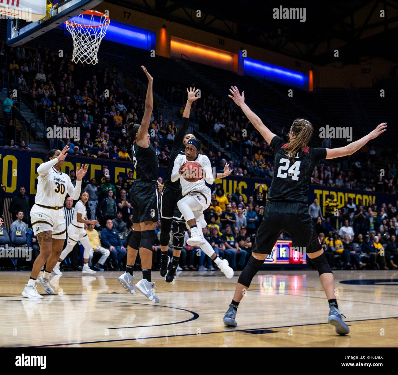 Berkeley, CA USA 31 Jan, 2019. A. in Kalifornien guard Asha Thomas (1) treibt die Hoop und zählte das gewinnende Summerklopfer während Basketball Spiel der NCAA Frauen zwischen Stanford Kardinal und die Kalifornien goldenen Bären 81-80 Gewinn an Hass Pavillon Berkeley Calif Thurman James/CSM/Alamy Leben Nachrichten Schuß Stockfoto