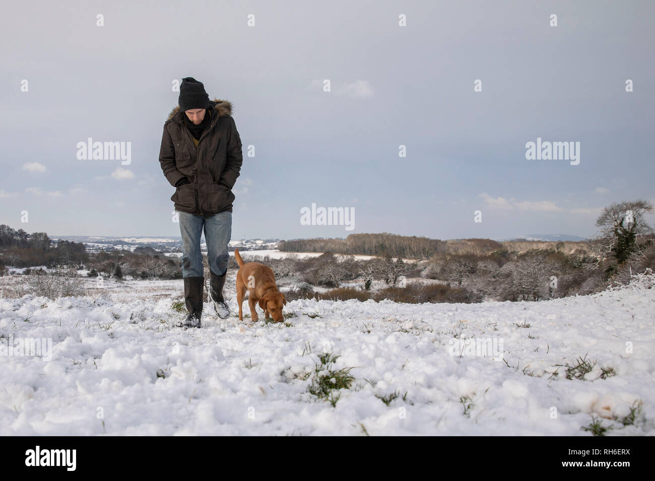 Cardiff, Wales, UK. 1. Februar 2019. Ein Mann und Hund Spaziergang durch Schnee in Cardiff als Frost viel von Großbritannien während eines Winters Kälteeinbruch Streik. Credit: Mark Hawkins/Alamy leben Nachrichten Stockfoto