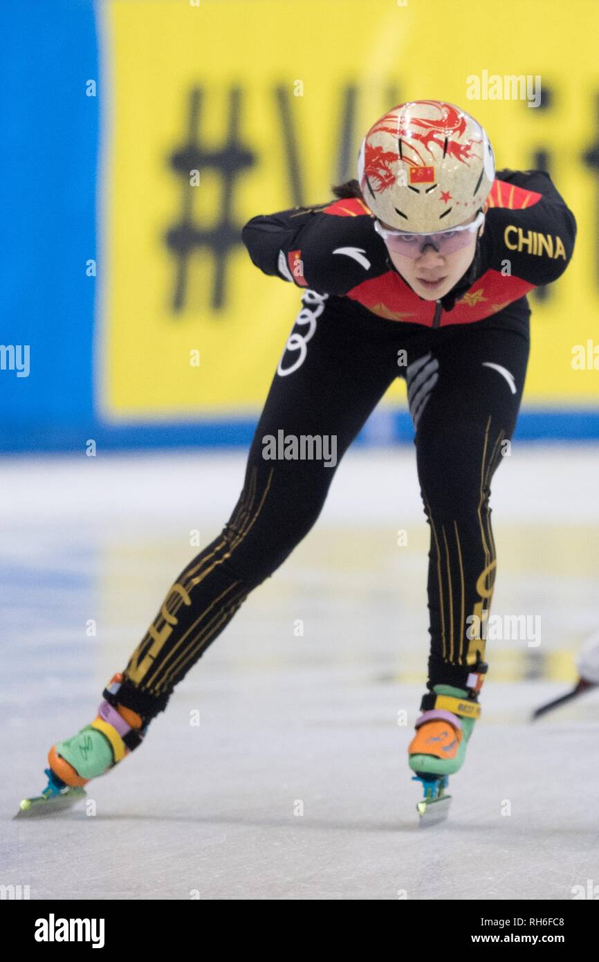 Dresden, Deutschland. 01 Feb, 2019. Shorttrack: WM Viertelfinale, 1500 Meter Frauen in den EnergieVerbund Arena. Yihan Guo aus China auf der Strecke. Credit: Sebastian Kahnert/dpa-Zentralbild/dpa/Alamy leben Nachrichten Stockfoto