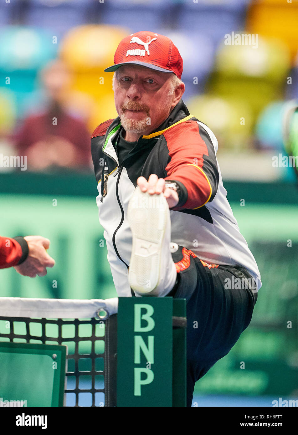 Frankfurt am Main, Deutschland. 01 Feb, 2019. Boris Becker, DTB-Leiter der Mens Tennis, halbe Größe, Porträt, in einer Schulung, Training vor dem Spiel Deutschland - UNGARN Qualifier Runde Mens Tennis Davis Cup in Frankfurt, Deutschland, 01. Februar 2019 Saison 2018/2019, Kredit: Peter Schatz/Alamy leben Nachrichten Stockfoto