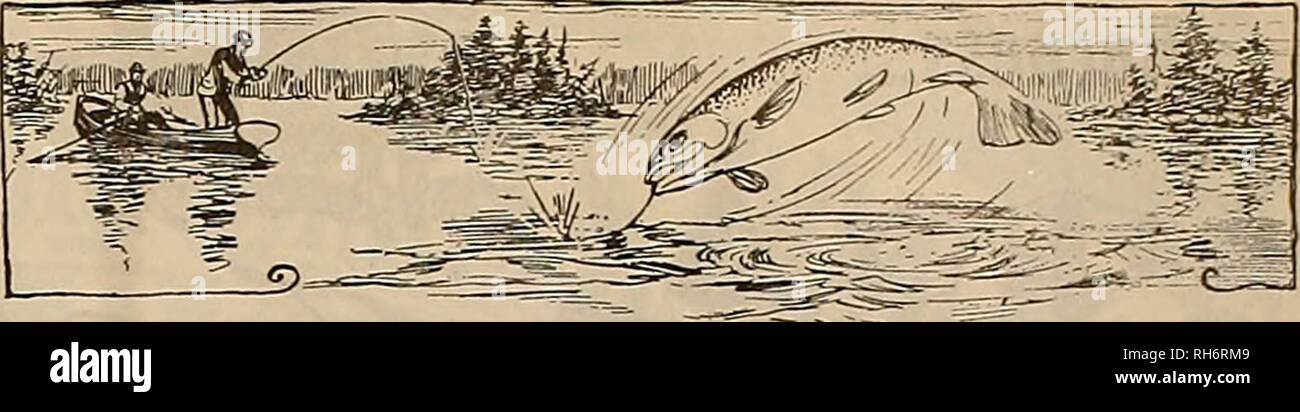 . Züchter und Sportler. Pferde. W. A. Sayre Sacramento, Cnl. R.T. Frasier Pueblo, Colo J. G. Lesen Sie ein Bro Ogden. Utah Jubinvtlle. V Xance Butte, Mont A. A. Kraftpapier Co Spokane, Washington "Ich werde os. M. Henderson Seattle, Washington C. Rodder Stockton, Cal. Gewinnen. E. Detels Plensnnton, Cal. Ich W. C. Belag: San Diego, Cal. Mnio-Wincliester-Jepsen Co Los Angeles, cal. 1H. Thorn wnldson Fresno, Cal. ! Jno. MeKerron San Francisco, cal. Jos. McTigue San Francisco, cal. Brydon Bros Los Angeles, cal. Unter der Nahrung und Medikamente Aet, Juni 30,1906 garantiert. Seriennummer 1210. Jak. B. CAMPBELL &Amp; CO., Manufactur Stockfoto