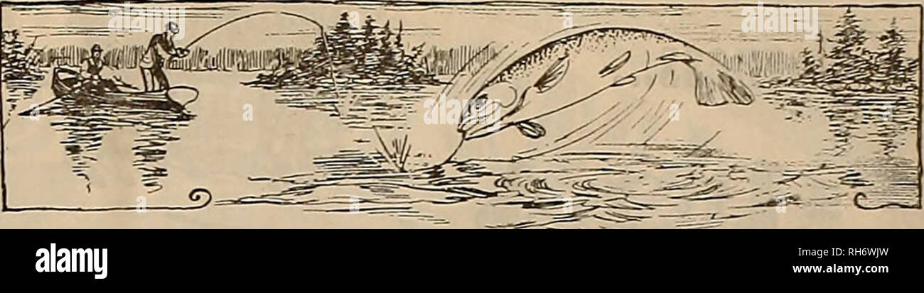 . Züchter und Sportler. Pferde. W. A. Sayre Sacramento, Cal. R.T. Frasier Pueblo, Colo J. G. Kopf & Amp; Br Ogden, Utah Jubinville&amp; Nance Butte, Mont A. A. Kraftpapier Co Spokane, Washington Thos. M. Henderson Seattle, Washington C. Rodder Stockton, Cal. Wm. E. Detels Pleasanton, CaL W. C. Topping San Diego, Cal. Main - Winchester - Jepsen Co Los Angeles, cal. H. Thornwaldson Fresno, CA. l Jno. McKerron San Francisco, cal. Jos. McTigue San Francisco, cal. Brydon Bros Los Angeles, cal. Im Rahmen der Essen ami Medikamente wirken, 30. Juni 190" garantiert. Seriennummer 1219. Jak. B. CAMPBELL &Amp; CO., Hersteller, 41 Stockfoto