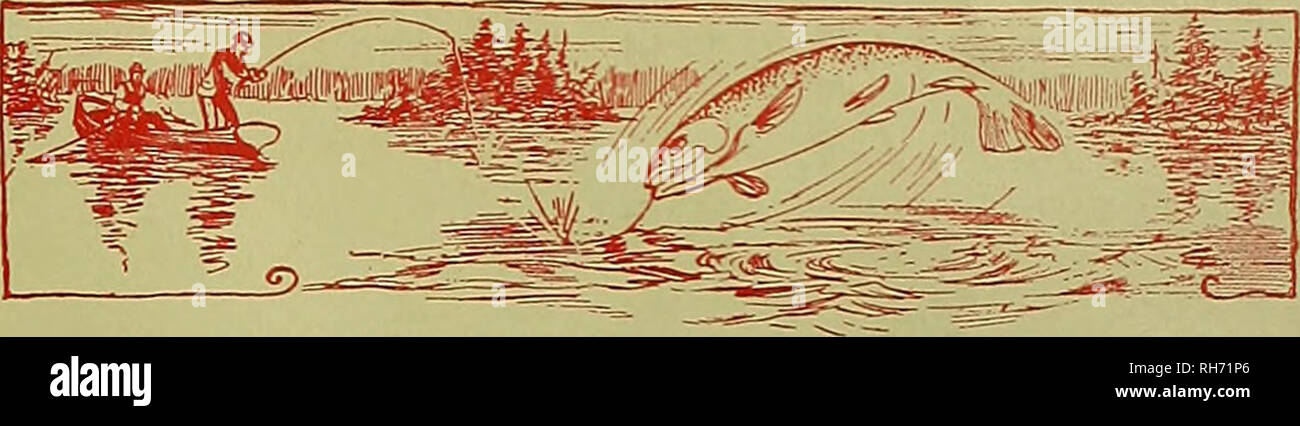 . Züchter und Sportler. Pferde. W. A. Sayre Sacramento, Cal. Miller & Amp; Patterson San Diego, Cal. J. G. Lesen Sie "fc Bro Ogden, Utah Jublnville&amp; Nance Butte, Mont A. A. Kraftpapier Co Spokane, Washington Tlios. M. Hendornon Seattle, Washington. C. Kodder Stockton, Cal. Wm. E. Detels Pleaaanton, Cal. V. Koch. , San Jose, Cal. Keystone Bros San Francisco, cal. Fred Reedy Fresno, Cal. Jno. McKerron San Francisco, cal. Jos. MeTigue San Francisco, cal. Brydon Bros Los Angeles, cal. Unter der Lebensmittel und Medikamente wirken, 30. Juni 1906 garantiert. Seriennummer 1219. Jak. B. CAMPBELL &Amp; CO., Hersteller, 418 Stockfoto
