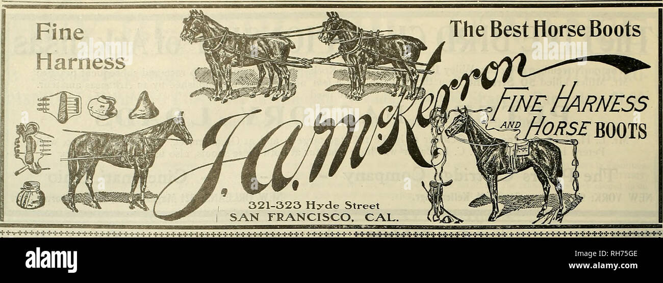 . Züchter und Sportler. Pferde. Die UREEDER UND SPORTLER [ Samstag, 8. Dezember 1906.. Die REMINGTON AUTOLOADING SHOT GUN. Bitte beachten Sie, dass diese Bilder sind von der gescannten Seite Bilder, die digital für die Lesbarkeit verbessert haben mögen - Färbung und Aussehen dieser Abbildungen können nicht perfekt dem Original ähneln. extrahiert. San Francisco, Calif.: [s. n. ] Stockfoto