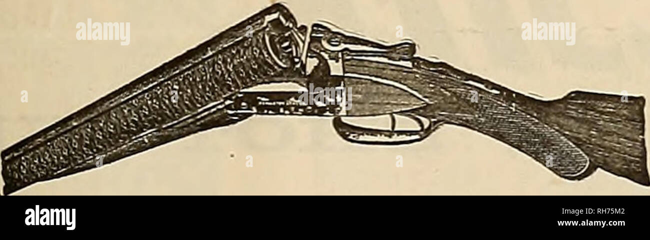 . Züchter und Sportler. Pferde. Gewährleistet eine ÜBERLEGEN! Andere machen kostet 835 MOKE. Wir machen 16 Grade, 17 $ 75 bis $ 300. Schreiben für Kunst Katalog an der Ithaca Gun CO., Ithaca, N.Y. Küste Zweig.* PHIL B, BEKEART CO., 114 Zweite St., San Francisce oder Ballistite gewinnt! J.W.BRADRICK gewann die ANACONDA CUP, 25 gerade, und Dritte hohe Durchschnitt, die Sportler Verband der Nordwesten, Portland, Juni 22 = 3 = 4'05,149 Shootern konkurrieren. "SLADE" machten die NUR GERADE KERBE, 20 lebende Vögel, Kalifornien Wing Club, Ingleside, 13. August 1905. Beide ihe hohe durchschnittliche und allgemeinen Durchschnitt und auch Stockfoto