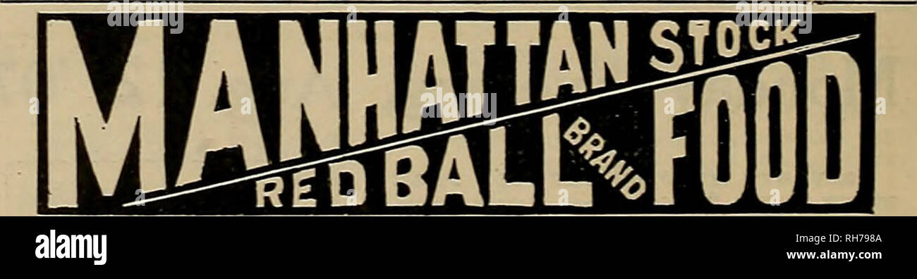 . Züchter und Sportler. Pferde. W. A. Sayre Sacramento, CaL R.T. Frasier Pueblo, Colo J. G. Lesen & Amp; Br Ogden, Utah Jubinville&amp; Nance Butte, Mont A. A. Kraftpapier Co Spokane, Washington Thos. M. Henderson Seattle, Washington C. Rodder Stockton, Cal. Wm. E. Detels Pleasanton, Cal. W. C. Topping San Diego, Cal. Main-Winchester-Jepsen Co Los Angeles, cal. H. Thornwaldson... . Fresno, CA 1 Jno. McKerron San Francisco, cal. Jos. McTigue San Francisco, CaL Brydon Bros Los Angeles, CaL unter tne Essen und Ziehen von Act, 30. Juni 1906 garantiert. Seriennummer 1219. Jak. B. CAMPBELL &Amp; CO., Hersteller, Stockfoto