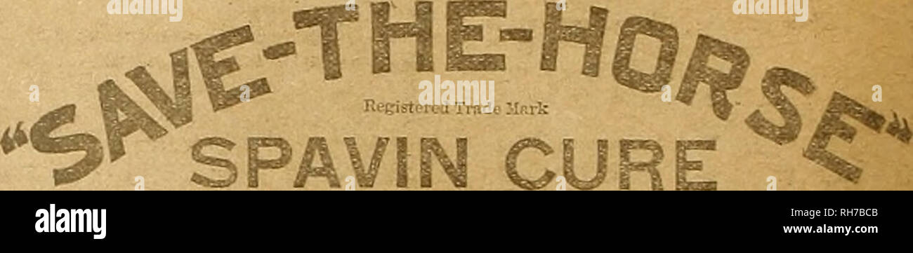 . Züchter und Sportler. Pferde. Bis ich N * Staatliche CHAMPIONSHh> jp • kentuchy. OWENSBOKO. M. gewann durch MK. WOOLFOLK HENDERSON, 98 X 100-mit-ILLINOIS: Bloomington, 24. Mai 1906 gewann durch mich. J.E.GRAHAM, 94 x 100 von 19-yards Peters Werkseitig geladen Schalen der TROST HANDICAP - GRAND AMERICAN, 1905 T. Atkinsoâ:. ist Yard-markierung. In diesem Fall 2 Kerben von 98 und 4 zu 96, alle mit der Peters Werk I der CKOSEIs Munition oder. "-KD-Fachmann. Der PETERS CARTRIDGE COMPANY, CINCINNATI, OHIO NEW YORK: 9 S KAMMERN ST., T. H. Keller, Mgr. Spokane Interstate Fair! SPOKANE, Waschen. 24. SEPTEMBER bis O Stockfoto