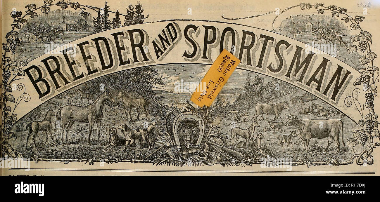 Zuchter Und Sportler Pferde Vol Xxxv Nr 24 Nr 22 4 Ukary 8 Teeet San Francisco