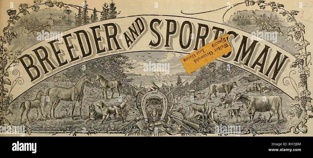 Get Seiner selbst willen For Free