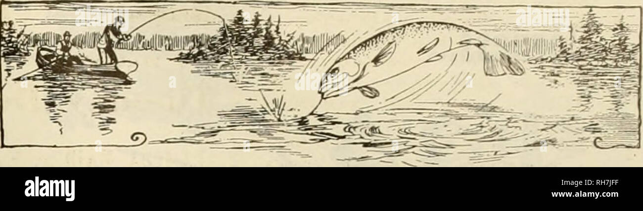 . Züchter und Sportler. Pferde. V. A. Sayre Sacramento, Cal. Miller eine Patterson San Diego, Cal. J. G. zerreißt. V Bro Ogden, Utah Juhinvtlle* Nance Butte, Mont A. A. Kraftpapier Co Spokane, Washington Thon. M. Henderson Seattle, Washington C. Rodder Stockton, Cal. Gewinnen. Ich:. Detels Pleasanton, Cal. Y. Koch. San Jose, Cal. Keystone Bros..... San Francisco, Öl. Fred Reedy Fresno, Cal. Jno. McKerron San Francisco, cal. Jos. McTigue San Francisco, cal. Brydon Bros Ich â â¢ - Angelea, Cal. Gnarnuteed unter der Lebensmittel und Medikamente wirken, Juni 30,1906. Serielle Xumber1210. Jak. B. oAMPBELL &Amp; CO., Hersteller, 418 W. Ma Stockfoto