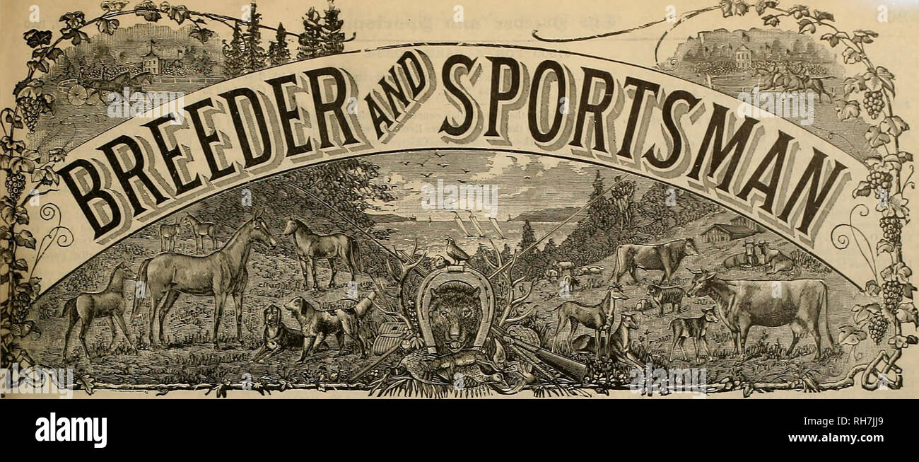 . Züchter und Sportler. Pferde. ^ Oartr*. Vol. XXXVI. Nr. 17. Nr. 36 die Geary Street. SAN FRANCISCO, Samstag, April 28, 1900, Abonnement für drei Dollar ein Jahr ifini rhrrr^1 m H ^ xi i^** K =^ tfl H STAM B.3: 1l}i-Standardisierung Tiotlcr ownedlby Tuttle Bros, Rockliu.. Bitte beachten Sie, dass diese Bilder sind von der gescannten Seite Bilder, die digital für die Lesbarkeit verbessert haben mögen - Färbung und Aussehen dieser Abbildungen können nicht perfekt dem Original ähneln. extrahiert. San Francisco, Calif.: [s. n. ] Stockfoto