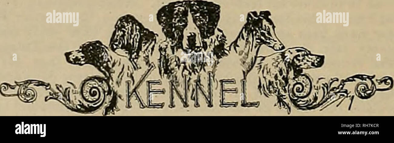 . Züchter und Sportler. Pferde. 218 ffiJtj* Qvesbev; 133 bricht aus einer möglichen 150 gezählt werden. Henry Peters von Yacaville zweite Medaille gewonnen und zählte 124 von 150; dritte Medaille wurde von C. Rohwerof Dixon, der brach 117 von 150 gewonnen. Die endgültige Aufnahme der Club fand an Dixon am 25. September 1898. Die Möwe Gun Club wird die Saison morgen offen auf der Ocean Beach um 10:45 A.> Ich. Der Club Jalousien sind offen für alle Newcomer, die angefordert werden mindestens 14 Schalen pro Stück bringen. Die Mitgliedschaft im Club ist für jene, die spät am Samstag Nächte beschäftigt sind, vor allem jene in t begrenzt Stockfoto