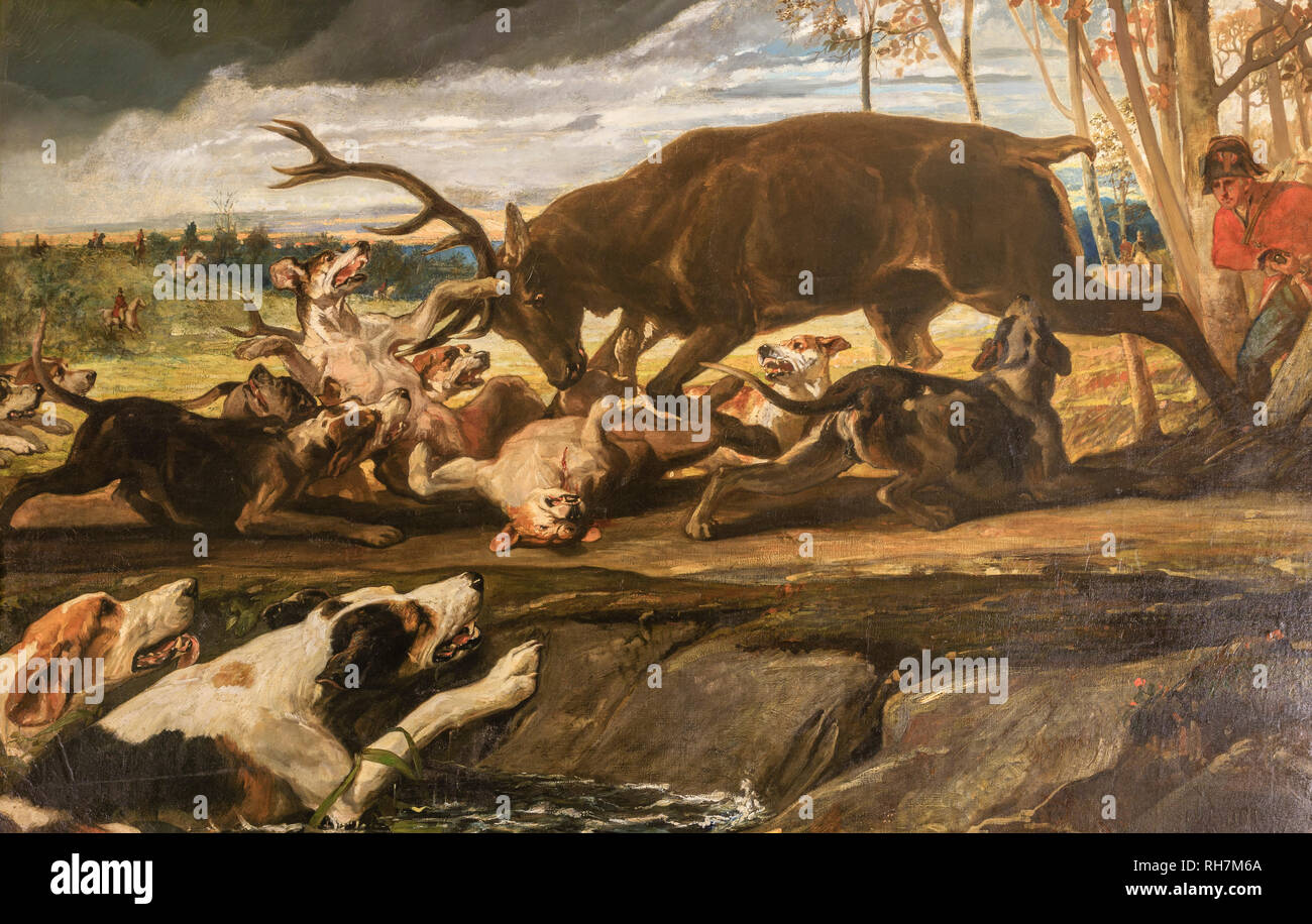 Frankreich, Loir et Cher, Chambord, Schloss Chambord, Jagdzimmer mit Bildern der Jagd mit Hunden Szenen // Frankreich, Loire-et-Cher (41), Chambord, Ch Stockfoto