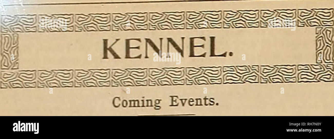 . Züchter und Sportler. Pferde. Â® er gxeebev anb *&amp; vjcnet&amp; mcm [Juli 13, 1901. Die Oakland Bank zeigen. Juli I0-Paciflo Beirat. Monatliche Treffen. J.P Norman. Sekretär. Bank Zeigt. Aug 2, 28, 29, S3 - Panamerikanischen Ausstellung Dog Show, Büffel, X*y. E. "M. Oldham, Betriebsleiter. Gesendet 5 3 4, 5 - Toronto Industrieausstellung. Elfte jährliche â.' -, Toronto. Can. W. S. Fraser, Sekretär, superin-tendent. Sept. 3 4, b, 6-Columbia County Landwirtschaftliche Gesellschaft. Inaug-ural zeigen, Chatham. N. V. M.T. Maurer, Sekretär. Sept. 11,13, 13, 14 - West Virginia Exposition und Staat & gt; messe ich Stockfoto