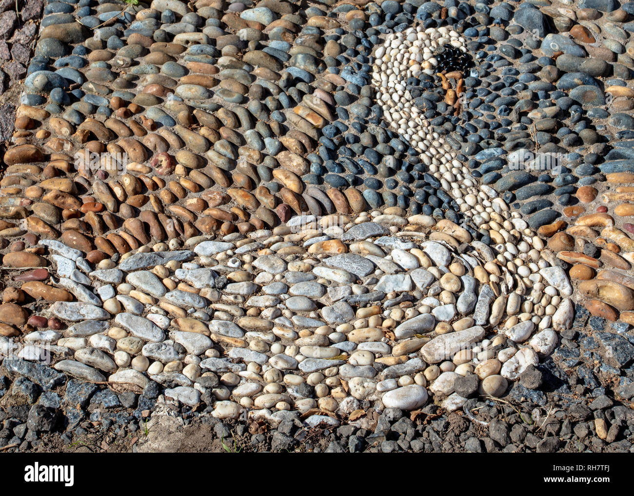 Ein Schwan Mosaik Stockfoto