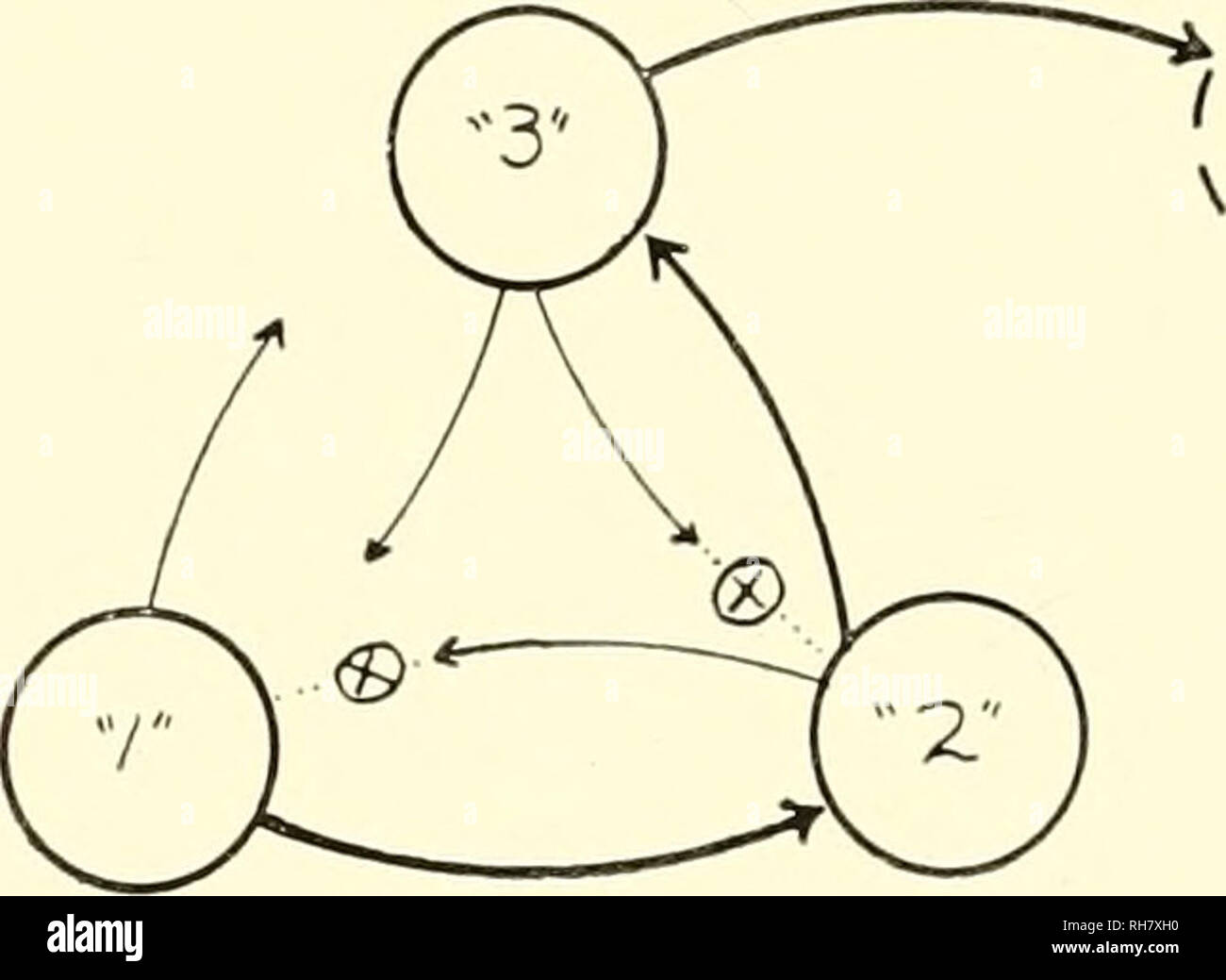 . Gehirn Mechanismen und Lernen, ein Symposium. Psychophysiologie; Lernen, Psychologie der. 44 GEHIRN MECHANISMEN UND LERNEN wiederholen. Wenn das bedeutet, dass, wenn der Experimentator hält, die entsprechende Systeme Brandschutz trace und in der richtigen Reihenfolge. Zweifellos gibt es Schwierigkeiten, die dies nicht berücksichtigen; es ist sicherlich nicht nur eine Verkettung der beteiligten Systeme, weil Sie - zum Beispiel - das Thema in der Lage sein, Ihnen zu sagen, was der erste und der letzte einer Gruppe von Ziffern wurden, obwohl er Hat der eingreifende Menschen verloren. Speicher für die Einzelposten der scries Stockfoto