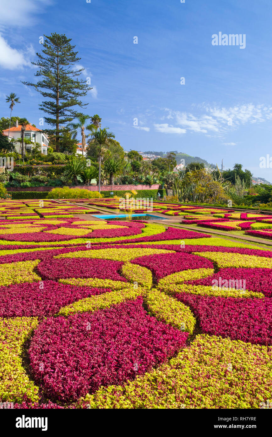 MADEIRA Portugal Madeira Funchal Botanischer Garten der Botanische