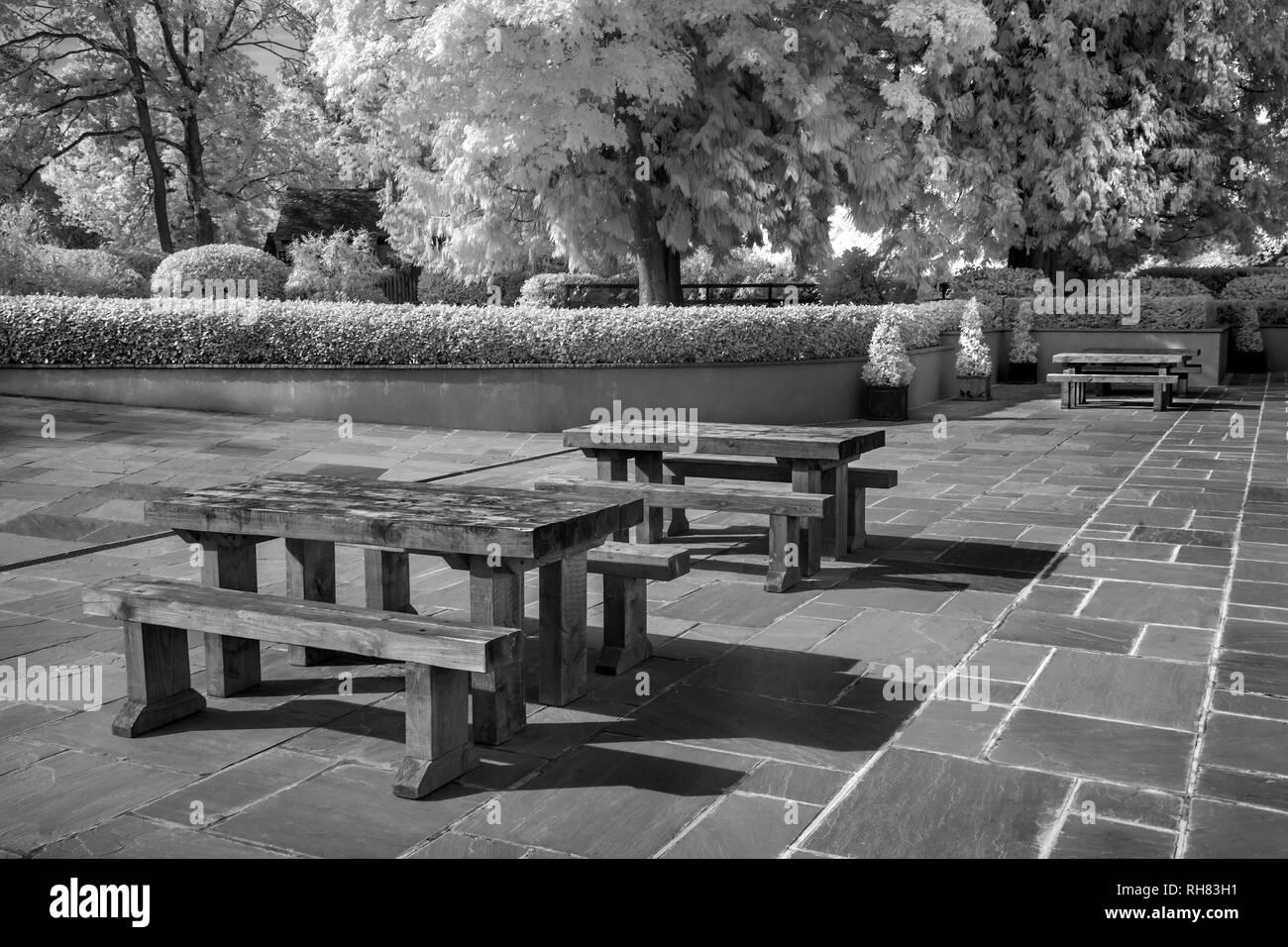 EIN INFRAROTBILD VON PICKNICKBÄNKEN IM LARMER TREE GARDENS WEDDING LOCATION AREA IN WILTSHIRE UK Stockfoto