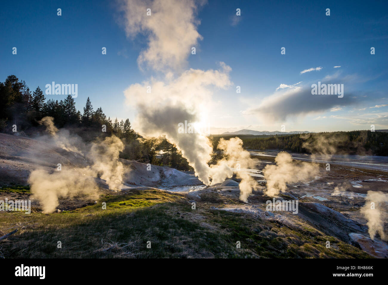 Eine dampfende Geysire bei Norris Geyser Basin im Yellowstone Nationalpark, Wyoming Stockfoto