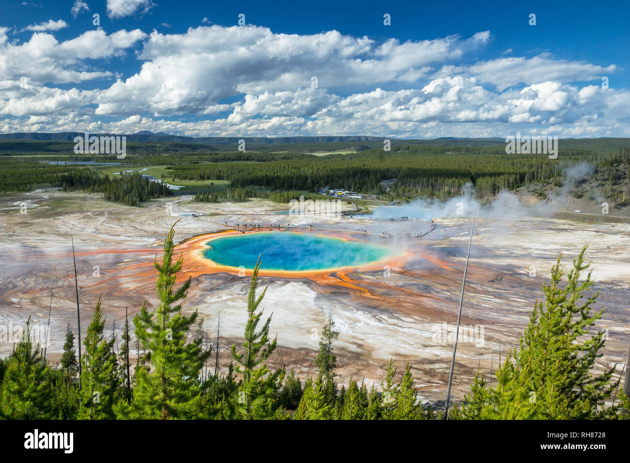 Grand Prismatic Spring an einem wunderbaren Sommerabend in voller Farbe. Nur ein absolut fantastischer Ort und Eines der natürlichen Wunder unseres Planeten Stockfoto