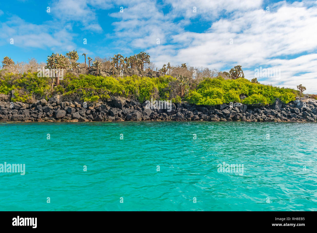 Landschaft Der türkisfarbene Wasser und die Küste von Santa Fe im Galapagos Nationalpark, Pazifischer Ozean, Ecuador. Stockfoto