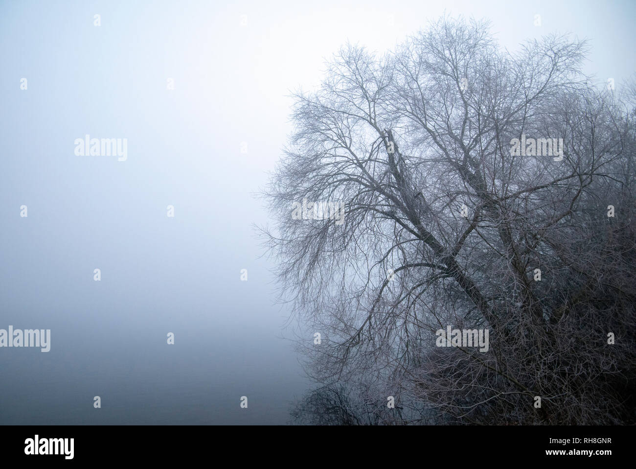 Ein bitter kalt Winter morgen im Colwick Park in Nottingham, Nottinghamshire England Großbritannien Stockfoto