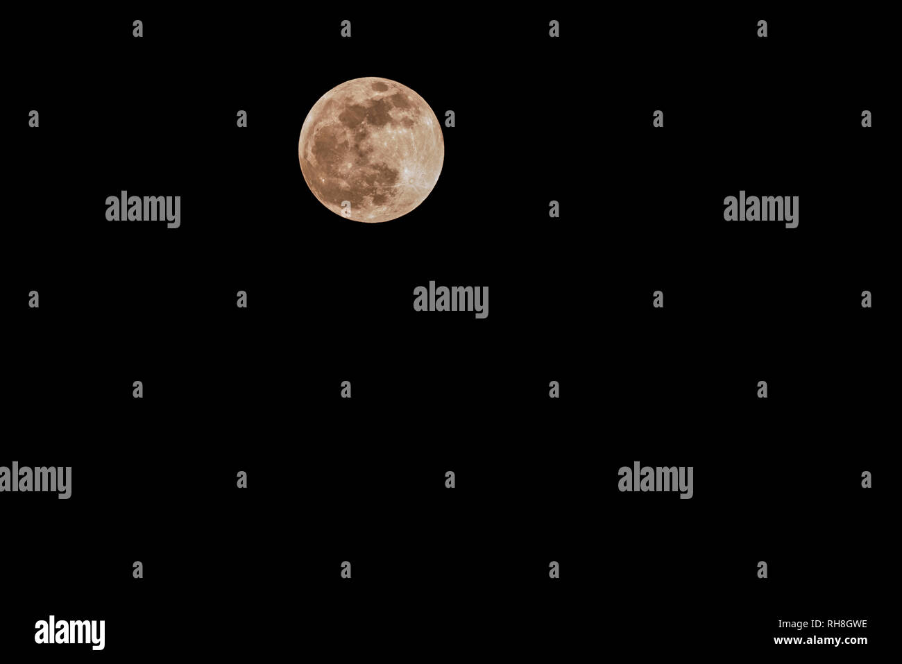 Der Mond während der 2019 Super Blut Wolf Mond Mondfinsternis. Stockfoto
