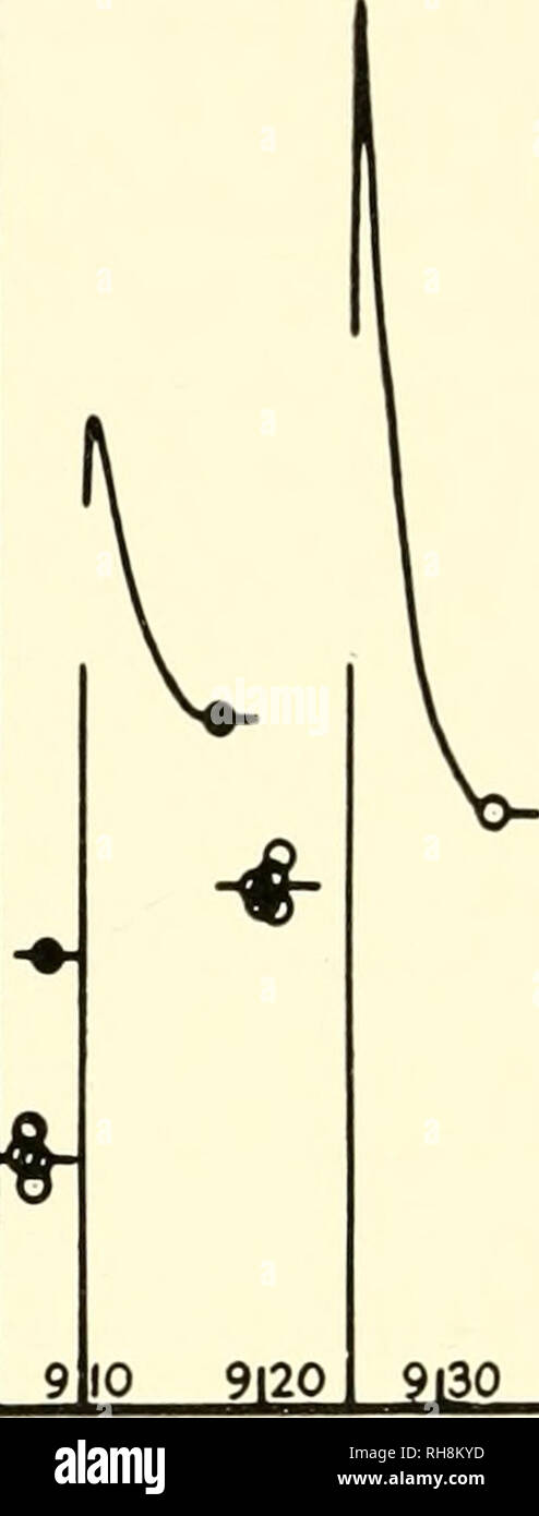 . Gehirn Mechanismen und Lernen, ein Symposium. Psychophysiologie; Lernen, Psychologie der. Jl^. 4.0. Ilg m. w. &Gt; ich 50 Fu;. 2 Plotten von post-tetanische Potenzierung und Restwert Potential wie in Abb. iB, aber auf einem viel weniger Zeit, beachten Sie Zeit in Stunden und Minuten auf der Abszisse. Koordinaten geben Größen der Mono-Synaptischen reflex Spike in Millivolt. L- und Sj dorsalen Wurzeln durchtrennt extraganglionically 38 Tage zuvor. Die offene Kreise über 17.50 Uhr geben reflex Spitzen in Bizeps-semitendinosus Nerv in Reaktion auf einzelne Salven in die kombinierte L- und Sj dorsalen Wurzeln, und die gefüllten Kreis t Stockfoto