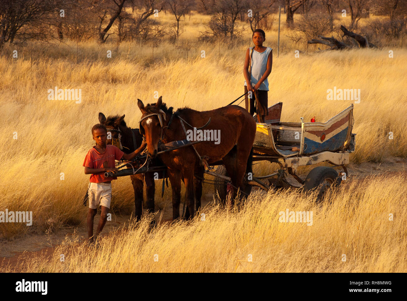 Junge afrikanische Jungen Reiter eine alte Karre auf ein goldenes Gras, Caprivi Strip, Namibia Stockfoto