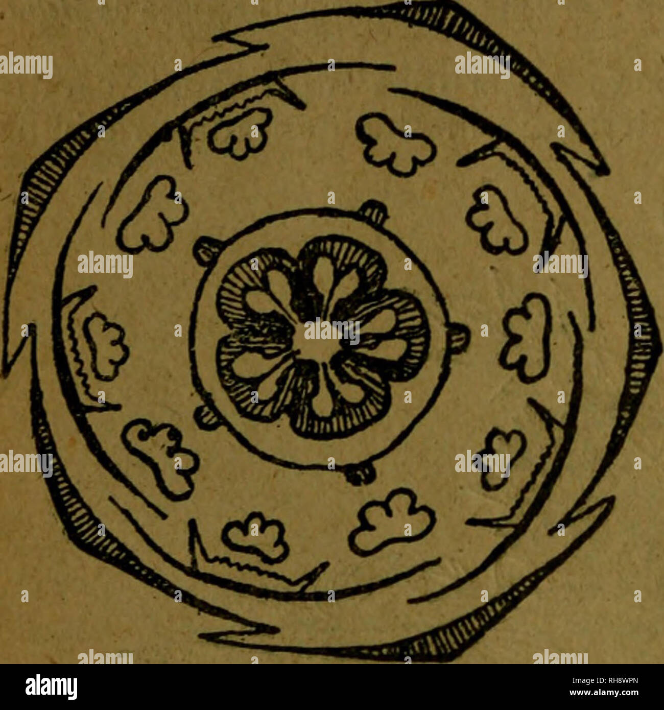 . BotÃ¡nica Descriptiva. Compendio de la flora Española. Estudio de las Vulcanus neamente espontÃ¡Que viven en España y de las mÃ¡s frecuentemente cultivadas que Tienen aplicaciones De medicina, Agricultura, Industria y horticultura. Pflanzen. Â â:''^W^y:, W1 30 cariofilÃ - ckas De la Melia Azadirachta (Margosa) y la Soymida febrÃ - Fuga {Cedro bastar^ tun), se usa La corteza; la Swieienia Mahogoni es la Caoba. Orden S. "": liz pentÃ Cariofilales CÀ¡¡mero, Rara vez mero CariofilÃ tetrÃ¡¡Ceas. Cà¡liz Dekor - mero PortulacÃ¡Ceas. Familia 295.": CariofilÃ¡ceas Hierbas (Pamplina anuales) o vivac Stockfoto