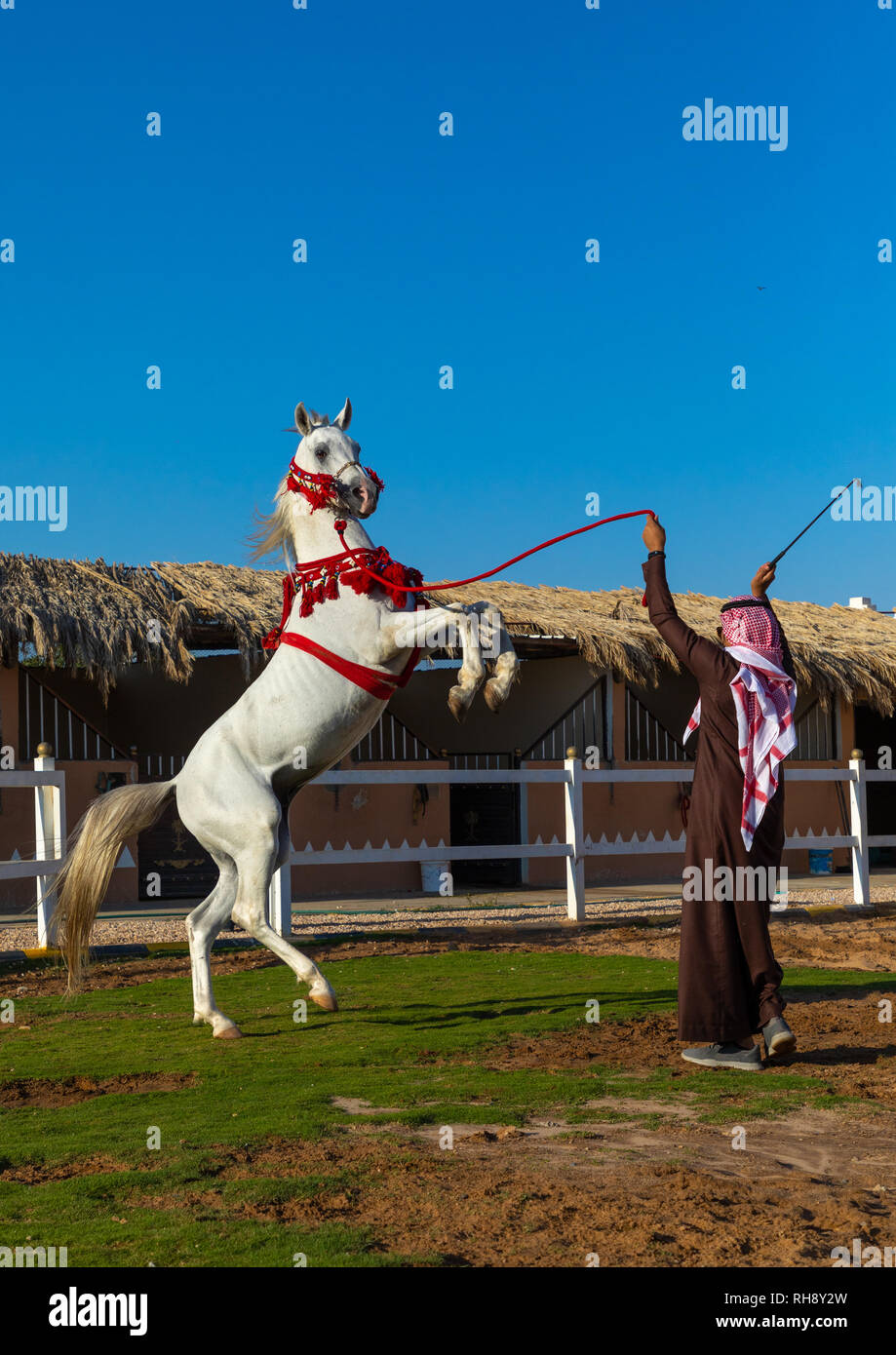 Saudi181276 -Fotos und -Bildmaterial in hoher Auflösung – Alamy