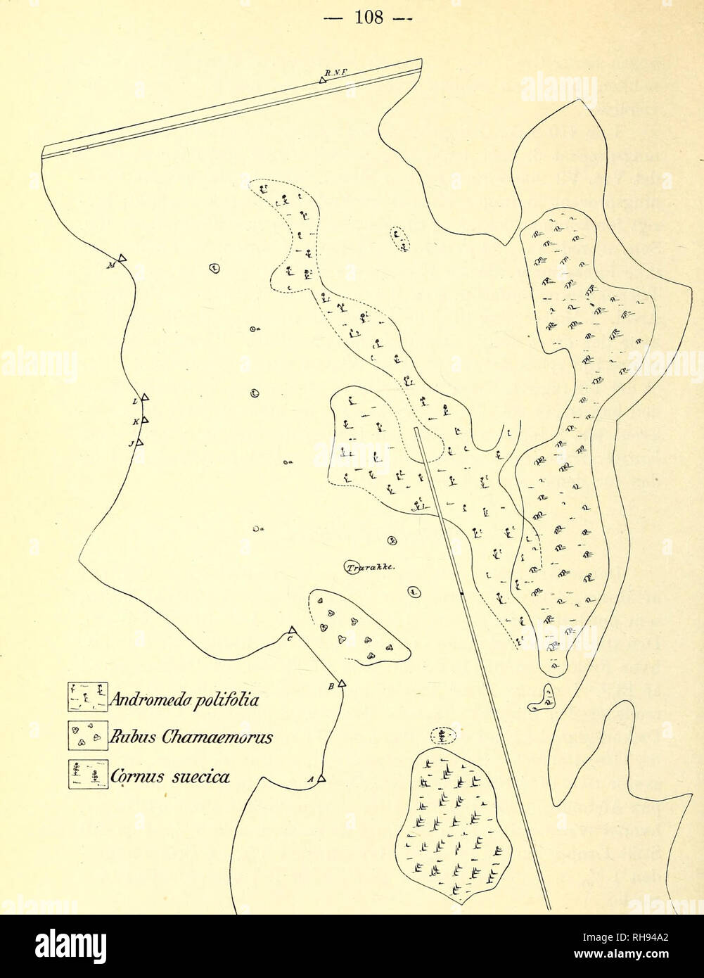 . Botanisk Tidsskrift". Botanik; Pflanzen; pflanzen. Abb. 17. Oversigt über Forekomsten af Andromeda polifolia, Rubus chamaemorus og Cornus suecica.. Bitte beachten Sie, dass diese Bilder sind von der gescannten Seite Bilder, die digital für die Lesbarkeit verbessert haben mögen - Färbung und Aussehen dieser Abbildungen können nicht perfekt dem Original ähneln. extrahiert. Botaniske forening i København. København: H. Hagerups Forlag Stockfoto