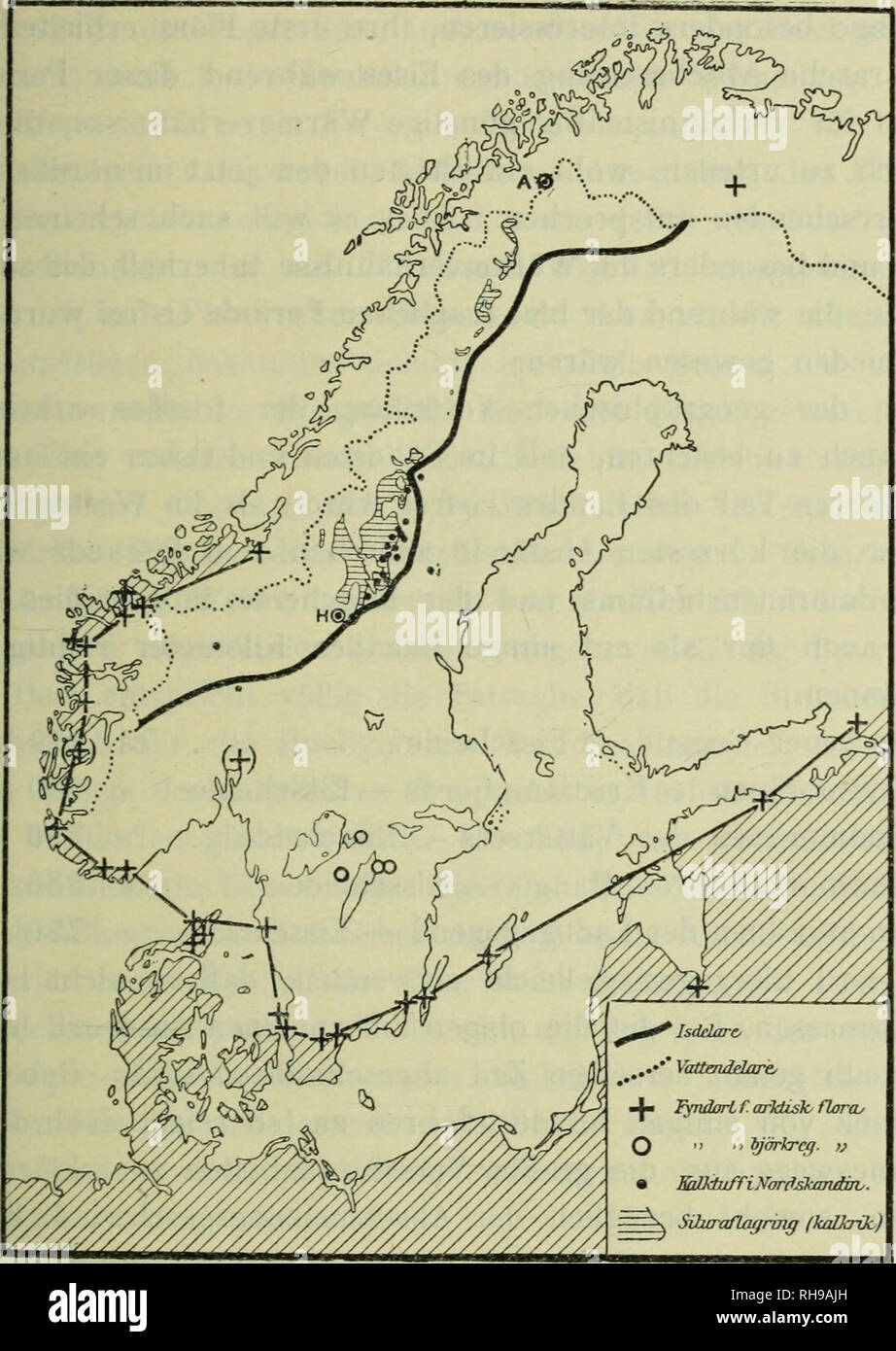 . Botanische Jahrbu? cher fu?r Systematik, Pflanzengeschichte und Pflanzengeographie. Botanik; Plantengeografie; Paleobotanie; Taxonomie; Pflanzen. Die geographische Verteilung von usw. Der Nordskandinavischen Flora. 569 Sterben fossile arktisch-alpine Flora ist, wie aus dem oben Angeführten hervorgeht, vollständig in sterben mehr peripherischen Teile des letzten großen Vereisungsgebietes beschränkt. Art und Umfang der bereits vorliegenden Untersuchungen available derart, dass es äußerst unwahrscheinlich ist, daß man sterben eben erwähnte fossile Flora in Zukunft erheblich weiter hinein nach den zentraleren Teil Stockfoto