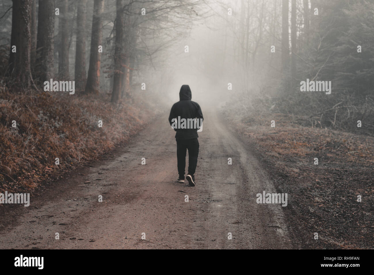 Single boy gehen durch einen Wald Landschaft in einem Land Fußweg Stockfoto