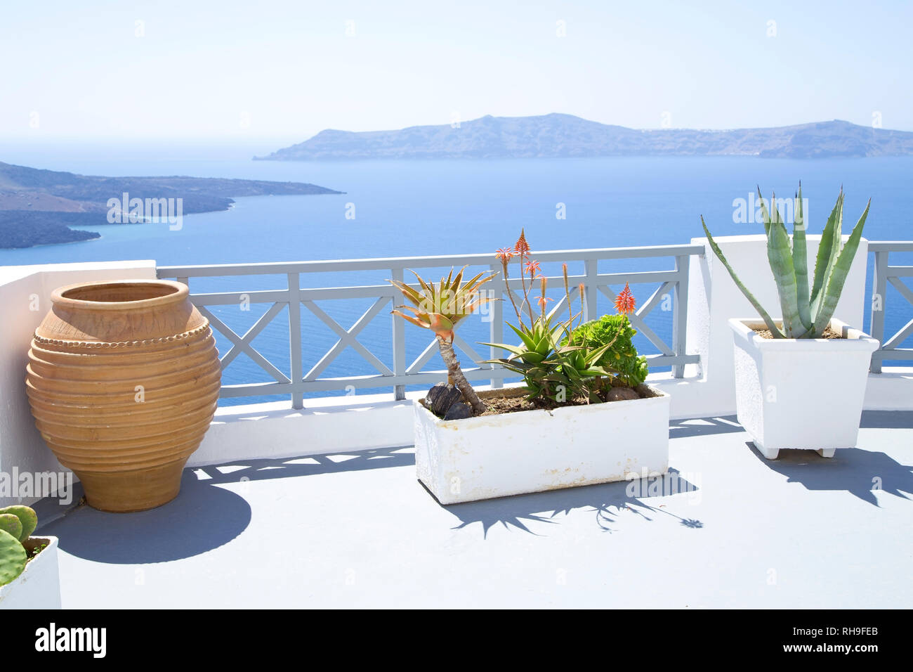 Terrasse mit mediterranen Blumen auf Santorini Insel Stockfoto