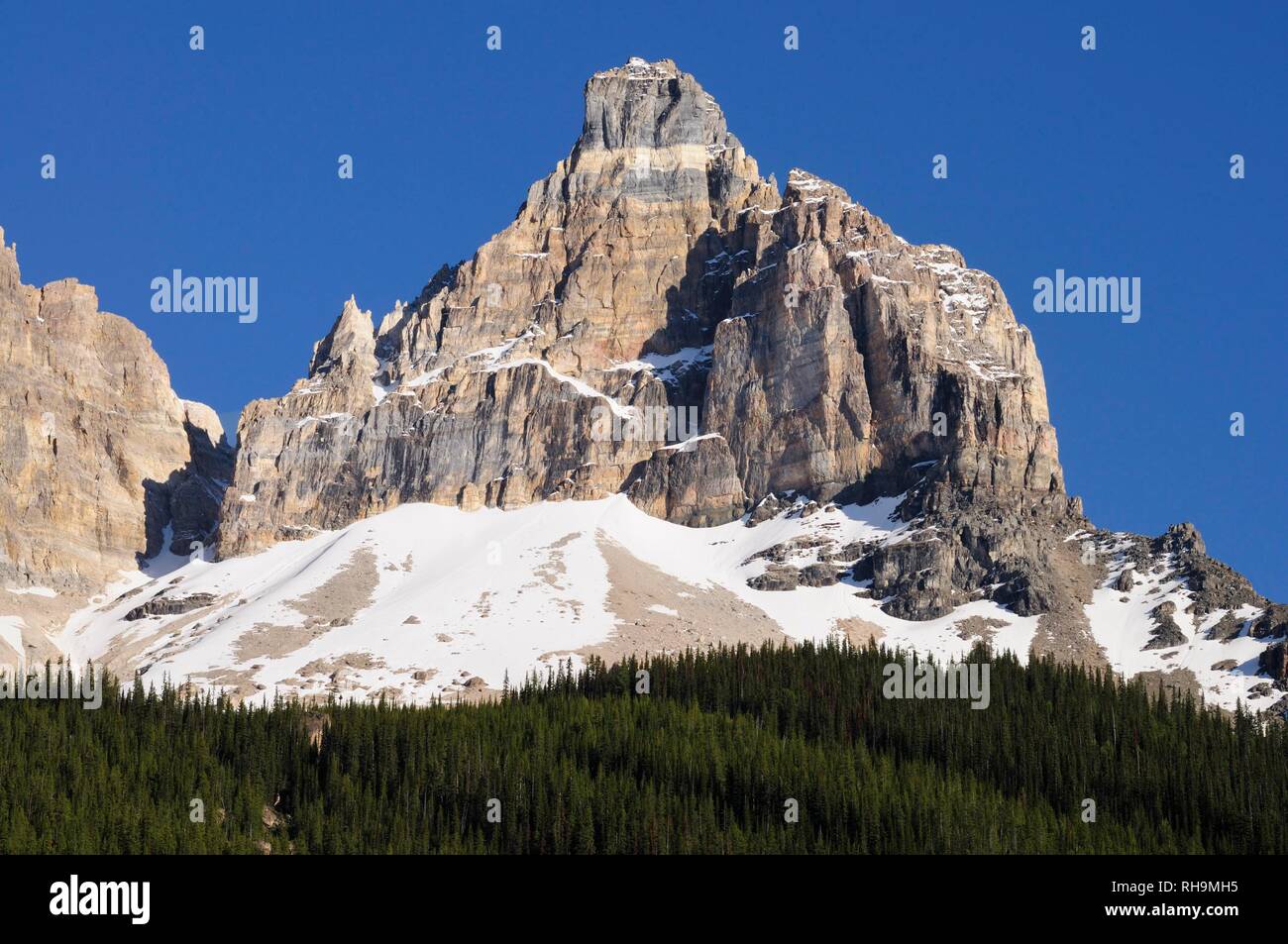 Kathedrale Crags gesehen aus dem Kicking Horse Pass Road, Yoho National Park, British Columbia, Kanada Stockfoto