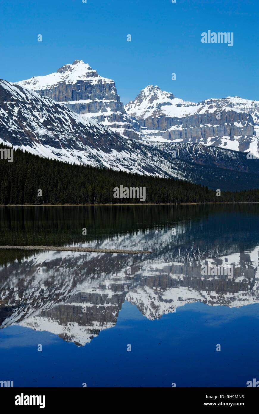 Schulterstücke Berg und Kaufmann Gipfel, Rechts, in den Wasservögeln Lake, Banff National Park, Rocky Mountains wider Stockfoto