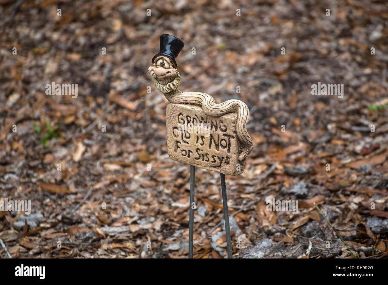 Alter ist definitiv nicht für sissys... also sagt, dass dieser Hof Kunst in North Central Florida. Stockfoto