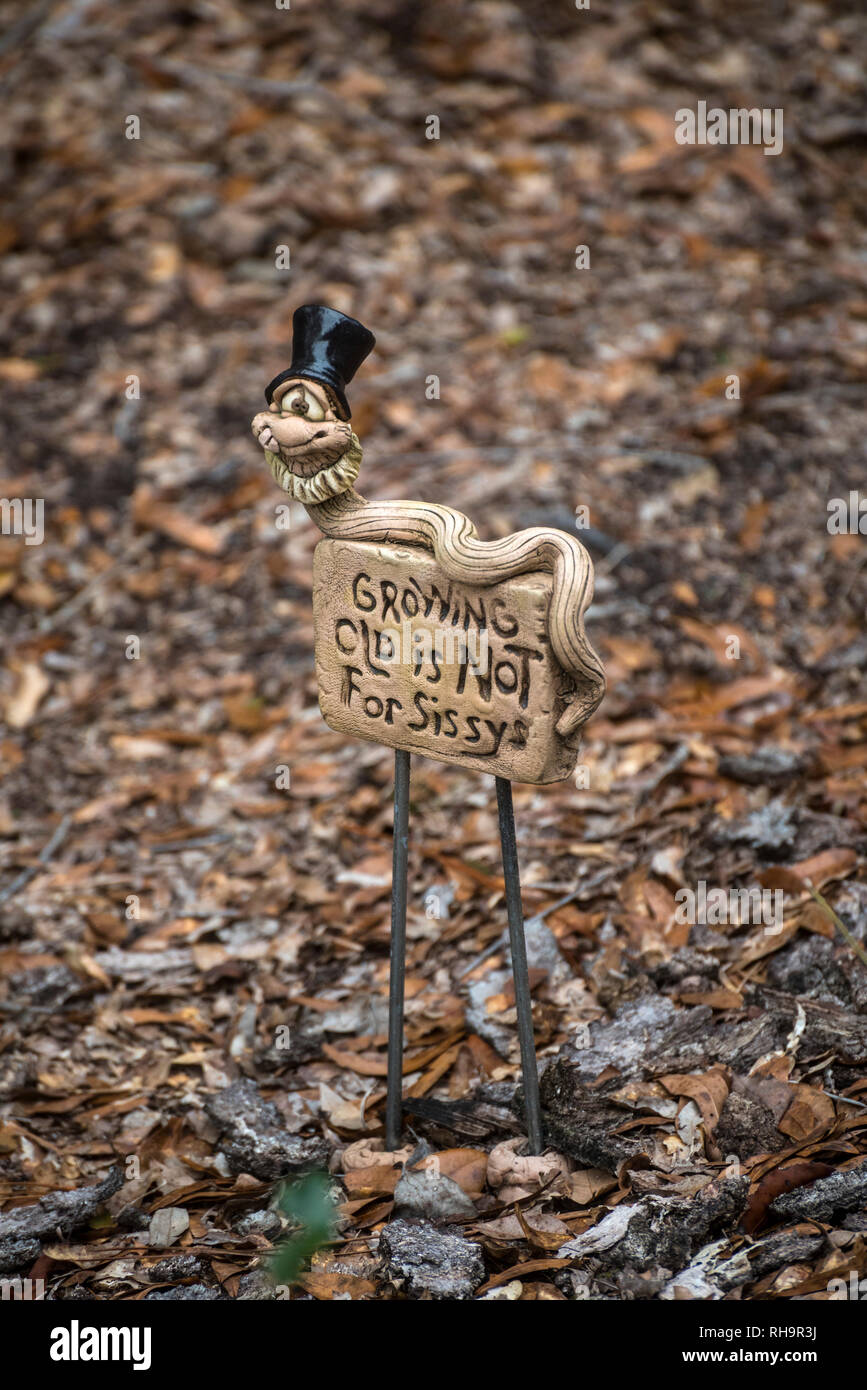 Alter ist definitiv nicht für sissys... also sagt, dass dieser Hof Kunst in North Central Florida. Stockfoto