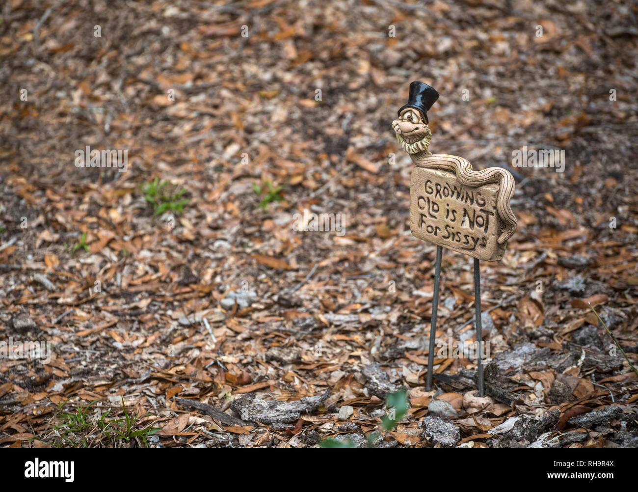 Alter ist definitiv nicht für sissys... also sagt, dass dieser Hof Kunst in North Central Florida. Stockfoto